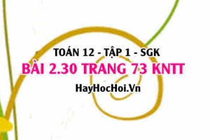 Bài 2.30 trang 73 Toán 12 tập 1 Kết nối tri thức